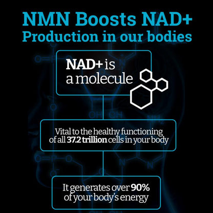Nourive NMN Supplement